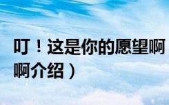 叮！这是你的愿望啊（关于叮！这是你的愿望啊介绍）