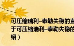 可压缩瑞利–泰勒失稳的直接数值模拟及混合机理研究（关于可压缩瑞利–泰勒失稳的直接数值模拟及混合机理研究介绍）