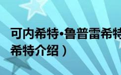 可内希特·鲁普雷希特（关于可内希特·鲁普雷希特介绍）