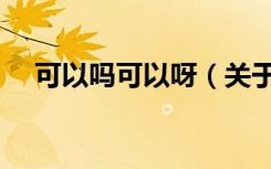 可以吗可以呀（关于可以吗可以呀介绍）