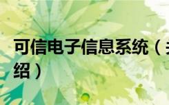 可信电子信息系统（关于可信电子信息系统介绍）
