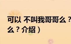 可以 不叫我哥哥么？（关于可以 不叫我哥哥么？介绍）