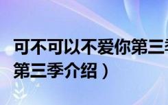 可不可以不爱你第三季（关于可不可以不爱你第三季介绍）