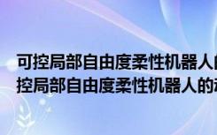 可控局部自由度柔性机器人的动力学与稳定性研究（关于可控局部自由度柔性机器人的动力学与稳定性研究介绍）