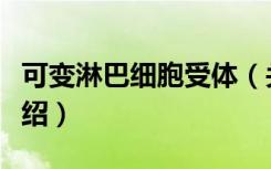 可变淋巴细胞受体（关于可变淋巴细胞受体介绍）