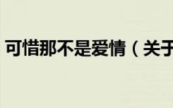 可惜那不是爱情（关于可惜那不是爱情介绍）