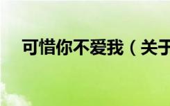 可惜你不爱我（关于可惜你不爱我介绍）