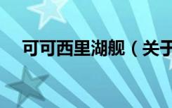 可可西里湖舰（关于可可西里湖舰介绍）