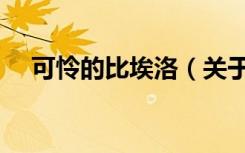 可怜的比埃洛（关于可怜的比埃洛介绍）