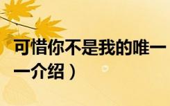 可惜你不是我的唯一（关于可惜你不是我的唯一介绍）