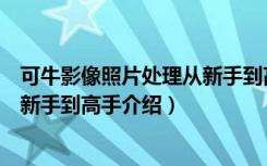 可牛影像照片处理从新手到高手（关于可牛影像照片处理从新手到高手介绍）