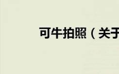 可牛拍照（关于可牛拍照介绍）