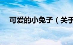 可爱的小兔子（关于可爱的小兔子介绍）