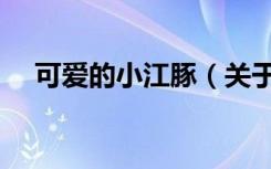 可爱的小江豚（关于可爱的小江豚介绍）