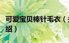可爱宝贝棒针毛衣（关于可爱宝贝棒针毛衣介绍）