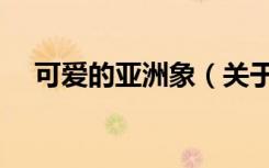 可爱的亚洲象（关于可爱的亚洲象介绍）