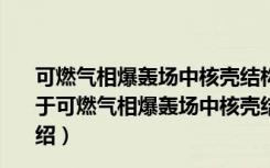可燃气相爆轰场中核壳结构纳米晶颗粒生长机制的研究（关于可燃气相爆轰场中核壳结构纳米晶颗粒生长机制的研究介绍）
