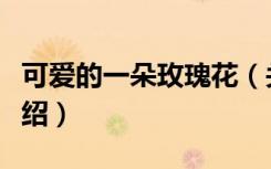 可爱的一朵玫瑰花（关于可爱的一朵玫瑰花介绍）