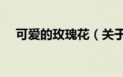 可爱的玫瑰花（关于可爱的玫瑰花介绍）