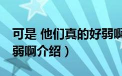 可是 他们真的好弱啊（关于可是 他们真的好弱啊介绍）