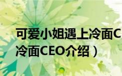 可爱小姐遇上冷面CEO（关于可爱小姐遇上冷面CEO介绍）