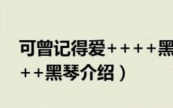 可曾记得爱++++黑琴（关于可曾记得爱++++黑琴介绍）