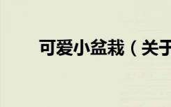 可爱小盆栽（关于可爱小盆栽介绍）