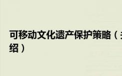 可移动文化遗产保护策略（关于可移动文化遗产保护策略介绍）