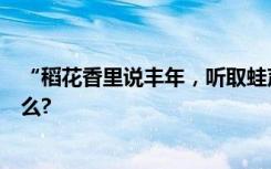 “稻花香里说丰年，听取蛙声一片”中的蛙声实际指的是什么?