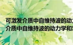 可激发介质中自维持波的动力学和对称性破缺（关于可激发介质中自维持波的动力学和对称性破缺介绍）