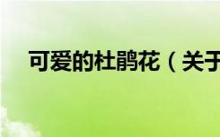 可爱的杜鹃花（关于可爱的杜鹃花介绍）
