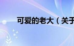 可爱的老大（关于可爱的老大介绍）
