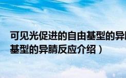 可见光促进的自由基型的异腈反应（关于可见光促进的自由基型的异腈反应介绍）