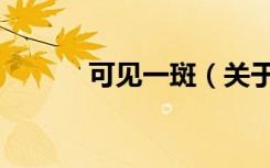 可见一斑（关于可见一斑介绍）