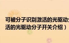 可被分子识别激活的光驱动分子开关（关于可被分子识别激活的光驱动分子开关介绍）