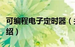 可编程电子定时器（关于可编程电子定时器介绍）