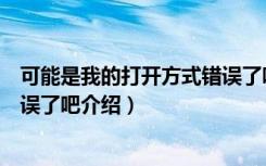 可能是我的打开方式错误了吧（关于可能是我的打开方式错误了吧介绍）