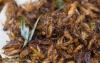 学者们正试图通过用地面昆虫粉烘烤饼干来规范化吃昆虫