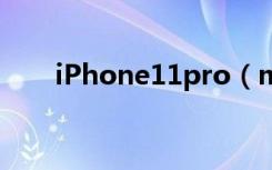 iPhone11pro（max怎么下载应用）