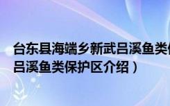 台东县海端乡新武吕溪鱼类保护区（关于台东县海端乡新武吕溪鱼类保护区介绍）