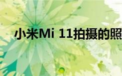小米Mi 11拍摄的照片已出现在互联网上