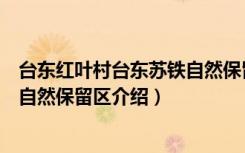 台东红叶村台东苏铁自然保留区（关于台东红叶村台东苏铁自然保留区介绍）