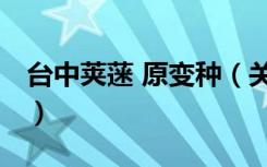 台中荚蒾 原变种（关于台中荚蒾 原变种介绍）