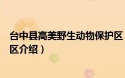 台中县高美野生动物保护区（关于台中县高美野生动物保护区介绍）