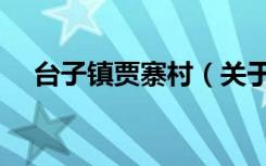 台子镇贾寨村（关于台子镇贾寨村介绍）