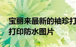 宝丽来最新的袖珍打印机不仅可爱 而且还能打印防水图片