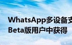 WhatsApp多设备支持即将在Android上的Beta版用户中获得