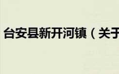 台安县新开河镇（关于台安县新开河镇介绍）