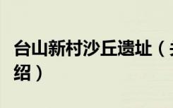 台山新村沙丘遗址（关于台山新村沙丘遗址介绍）