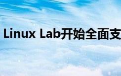 Linux Lab开始全面支持Loongson开发环境